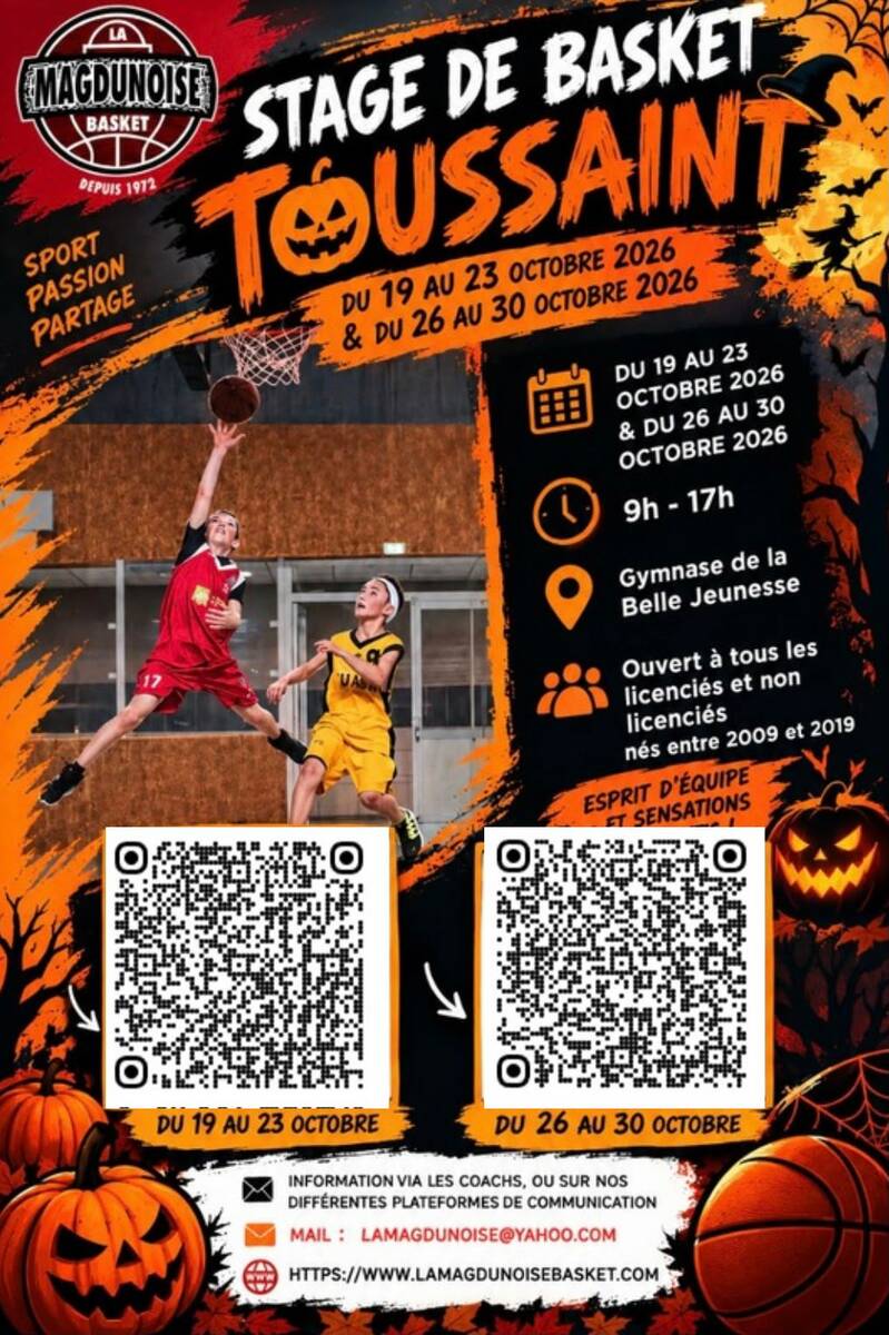 Stage Basket - vacances de la Toussaint 2026