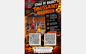 Stage Basket - vacances de la Toussaint 2026